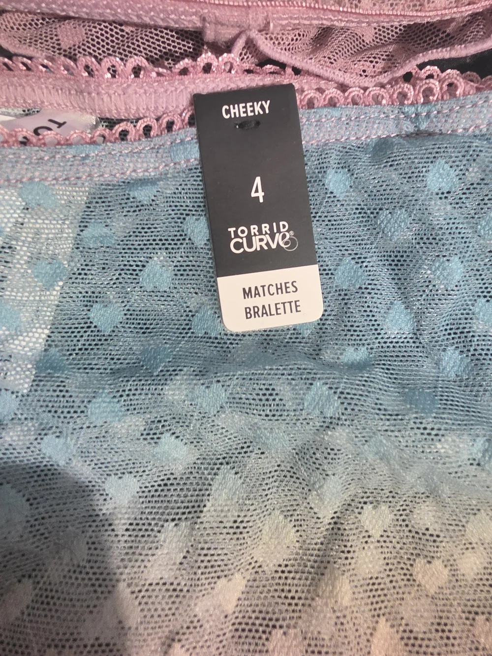 torrid Pink Teal Ombre Sheer Ruffle Underwire Bra & Brief Set